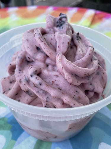 fresh blueberry soft serve ice cream